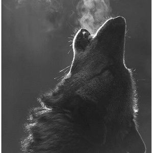 Meet your Posher, Ronald